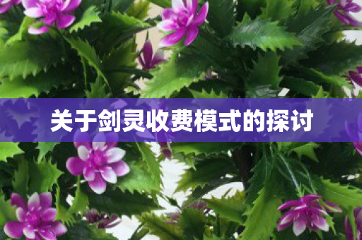 关于剑灵收费模式的探讨