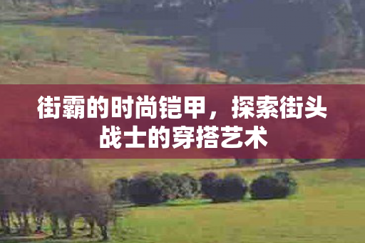 街霸的时尚铠甲，探索街头战士的穿搭艺术