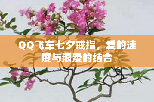 QQ飞车七夕戒指，爱的速度与浪漫的结合
