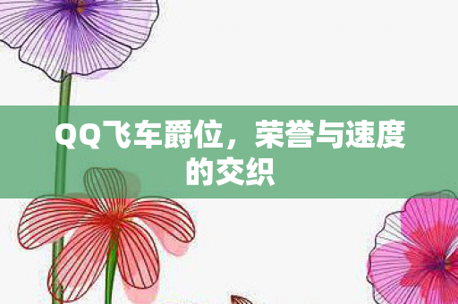 QQ飞车爵位，荣誉与速度的交织