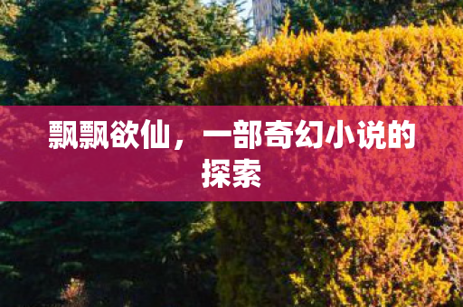 飘飘欲仙，一部奇幻小说的探索