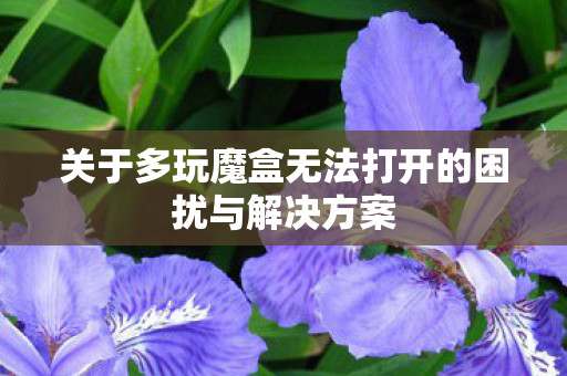 关于多玩魔盒无法打开的困扰与解决方案