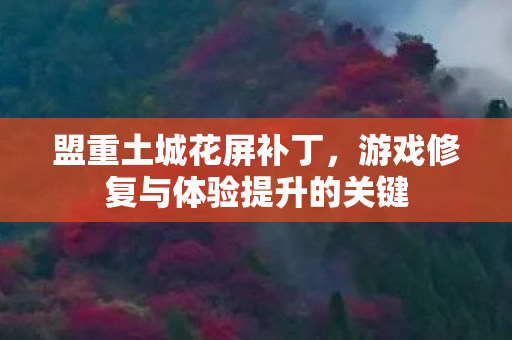 盟重土城花屏补丁，游戏修复与体验提升的关键