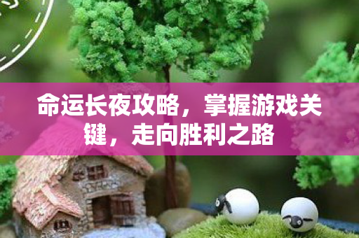命运长夜攻略，掌握游戏关键，走向胜利之路