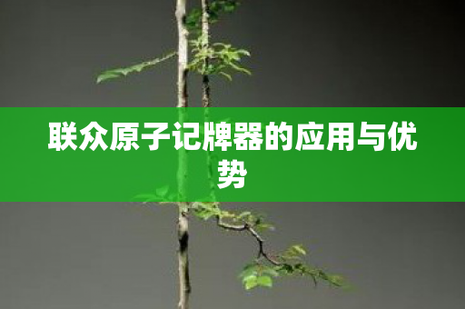 联众原子记牌器的应用与优势