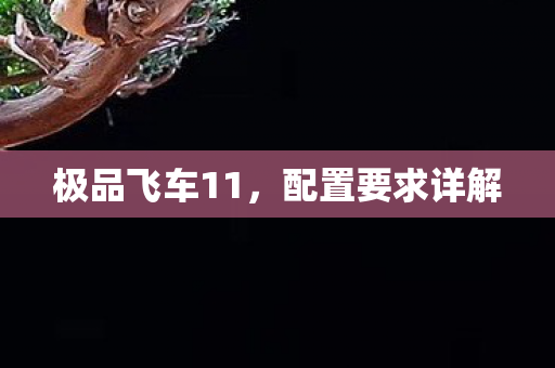 极品飞车11，配置要求详解