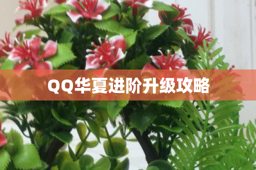 QQ华夏进阶升级攻略
