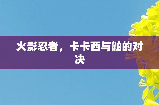 火影忍者，卡卡西与鼬的对决