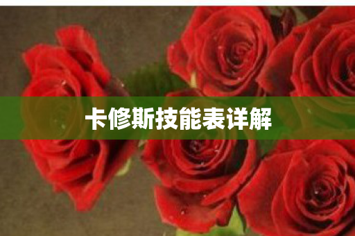 卡修斯技能表详解