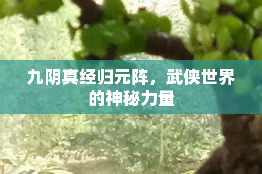 九阴真经归元阵，武侠世界的神秘力量