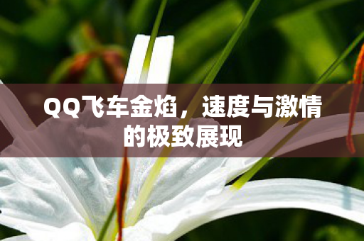 QQ飞车金焰，速度与激情的极致展现