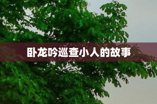 卧龙吟巡查小人的故事