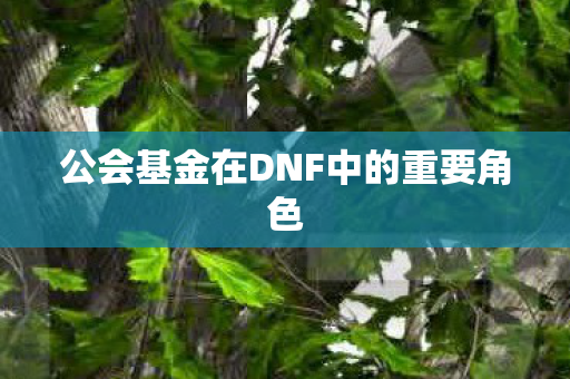公会基金在DNF中的重要角色