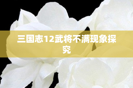 三国志12武将不满现象探究