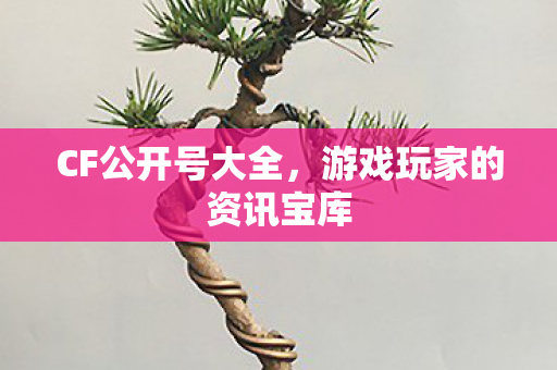 CF公开号大全，游戏玩家的资讯宝库