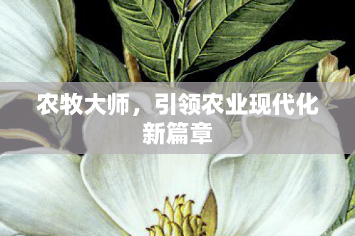 农牧大师，引领农业现代化新篇章