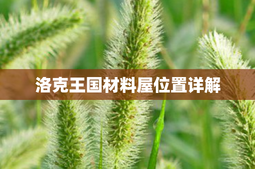 洛克王国材料屋位置详解