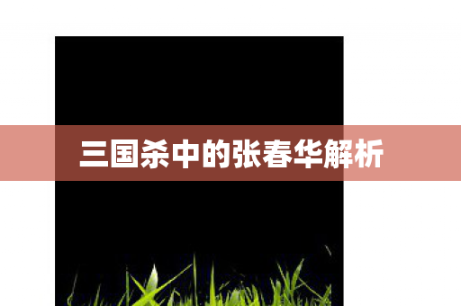 三国杀中的张春华解析