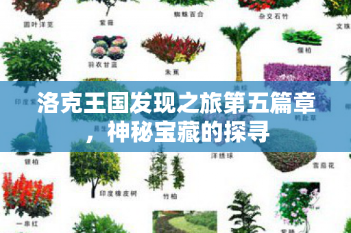 洛克王国发现之旅第五篇章，神秘宝藏的探寻