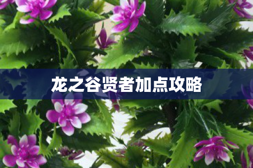 龙之谷贤者加点攻略