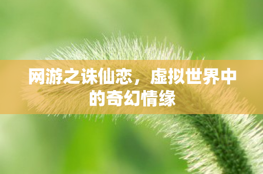 网游之诛仙恋，虚拟世界中的奇幻情缘