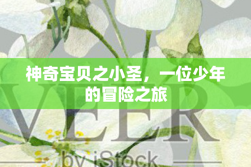 神奇宝贝之小圣，一位少年的冒险之旅