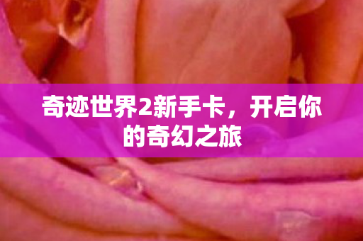 奇迹世界2新手卡，开启你的奇幻之旅