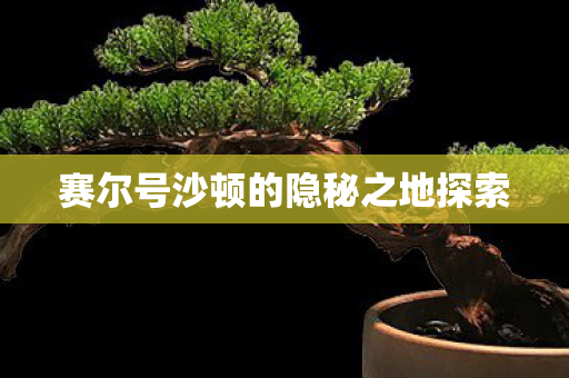 赛尔号沙顿的隐秘之地探索