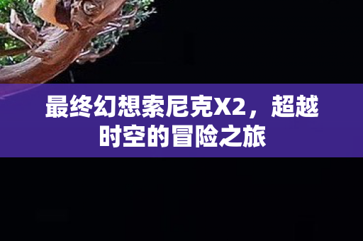 最终幻想索尼克X2，超越时空的冒险之旅