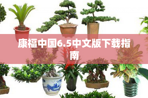 康福中国6.5中文版下载指南