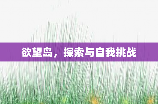 欲望岛，探索与自我挑战