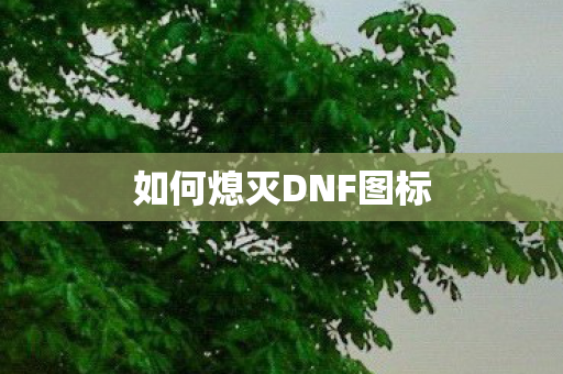 如何熄灭DNF图标