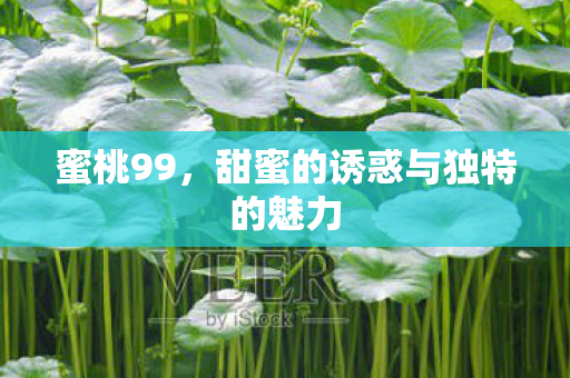 蜜桃99，甜蜜的诱惑与独特的魅力