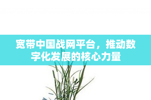 宽带中国战网平台，推动数字化发展的核心力量
