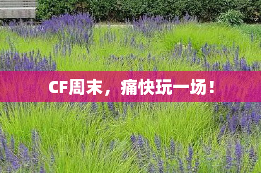 CF周末，痛快玩一场！