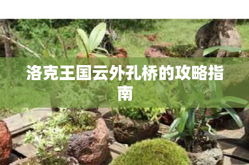 洛克王国云外孔桥的攻略指南