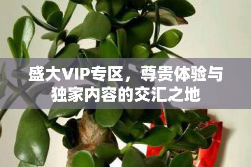 盛大VIP专区，尊贵体验与独家内容的交汇之地