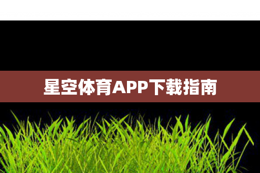 星空体育APP下载指南