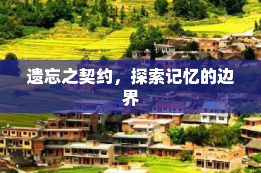 遗忘之契约，探索记忆的边界