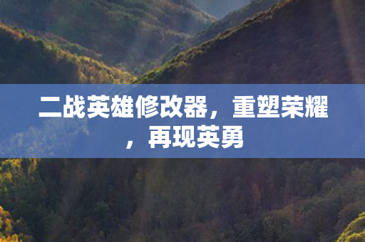 二战英雄修改器，重塑荣耀，再现英勇