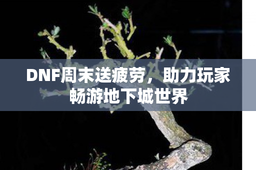 DNF周末送疲劳，助力玩家畅游地下城世界