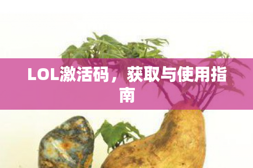 LOL激活码，获取与使用指南