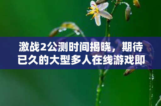 激战2公测时间揭晓，期待已久的大型多人在线游戏即将上线