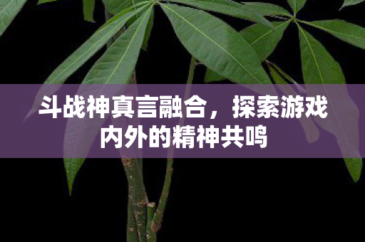 斗战神真言融合，探索游戏内外的精神共鸣