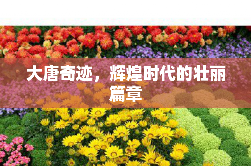 大唐奇迹，辉煌时代的壮丽篇章