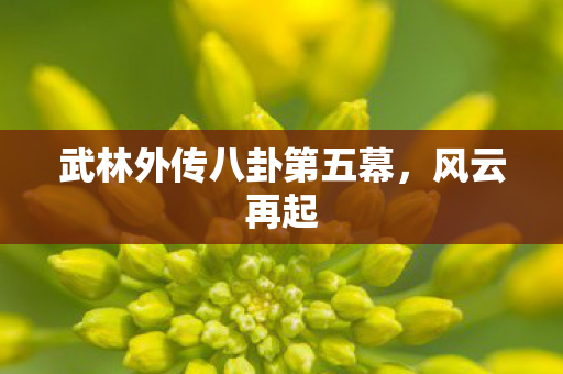 武林外传八卦第五幕，风云再起