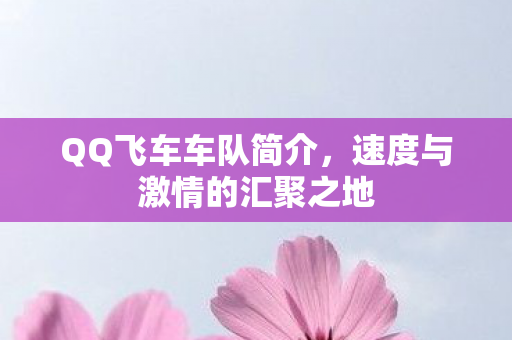 QQ飞车车队简介，速度与激情的汇聚之地