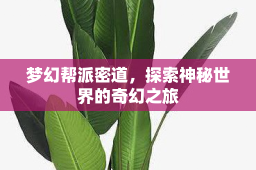 梦幻帮派密道，探索神秘世界的奇幻之旅