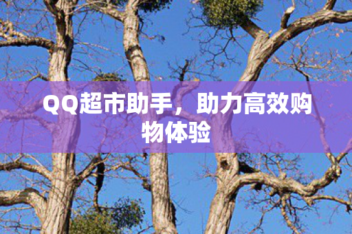 QQ超市助手，助力高效购物体验