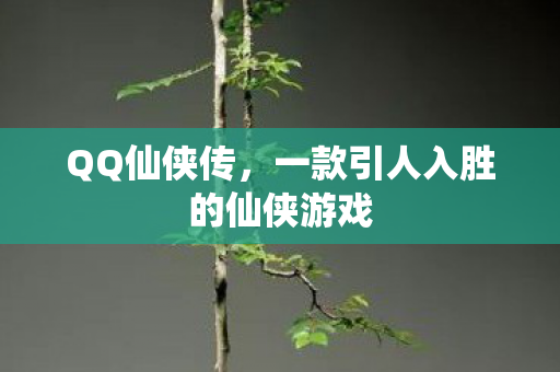 QQ仙侠传，一款引人入胜的仙侠游戏